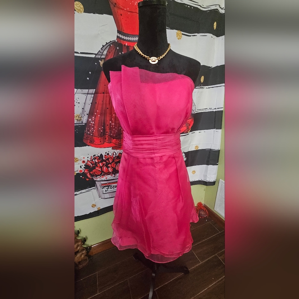 NWOT Elegant Pink Strapless Dress